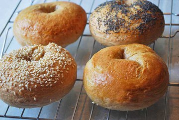 6 Free Bagels (no purchase necessary)
